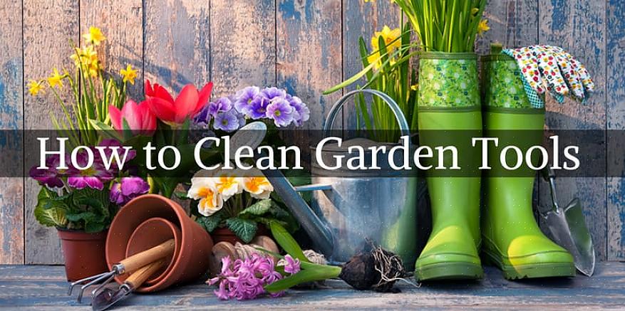 Hur ofta rengör du trädgårdsredskap