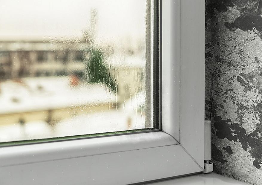 Om flera fönster visar misslyckade tätningar kan det vara dags för ett helt fönsterbyteprojekt